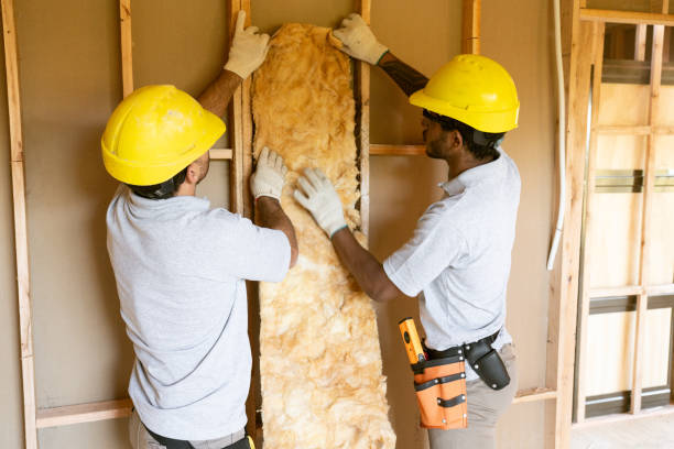 Best Insulation Contractors for Homes  in Sidney, MT