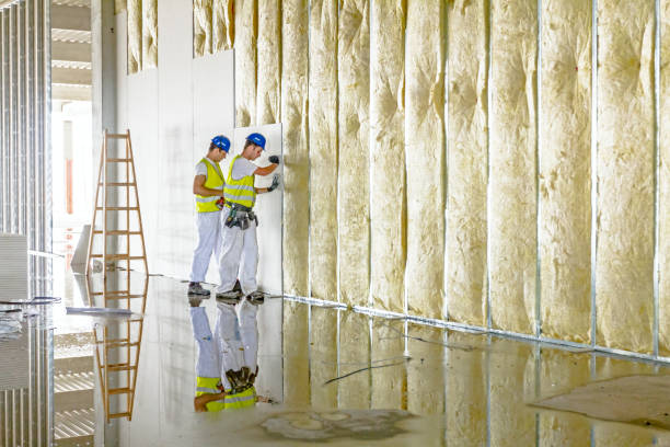 Trusted Sidney, MT Insulation Contractor Experts